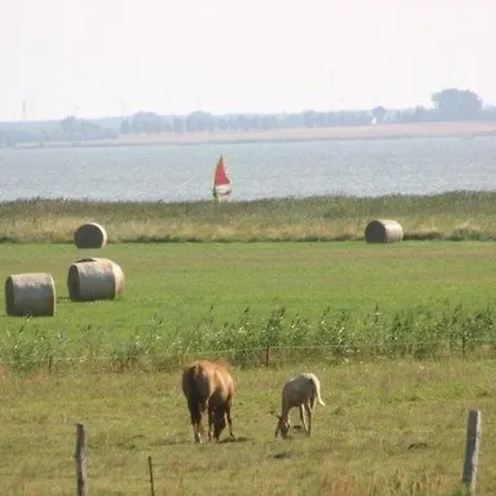 Boddenkieker Born
